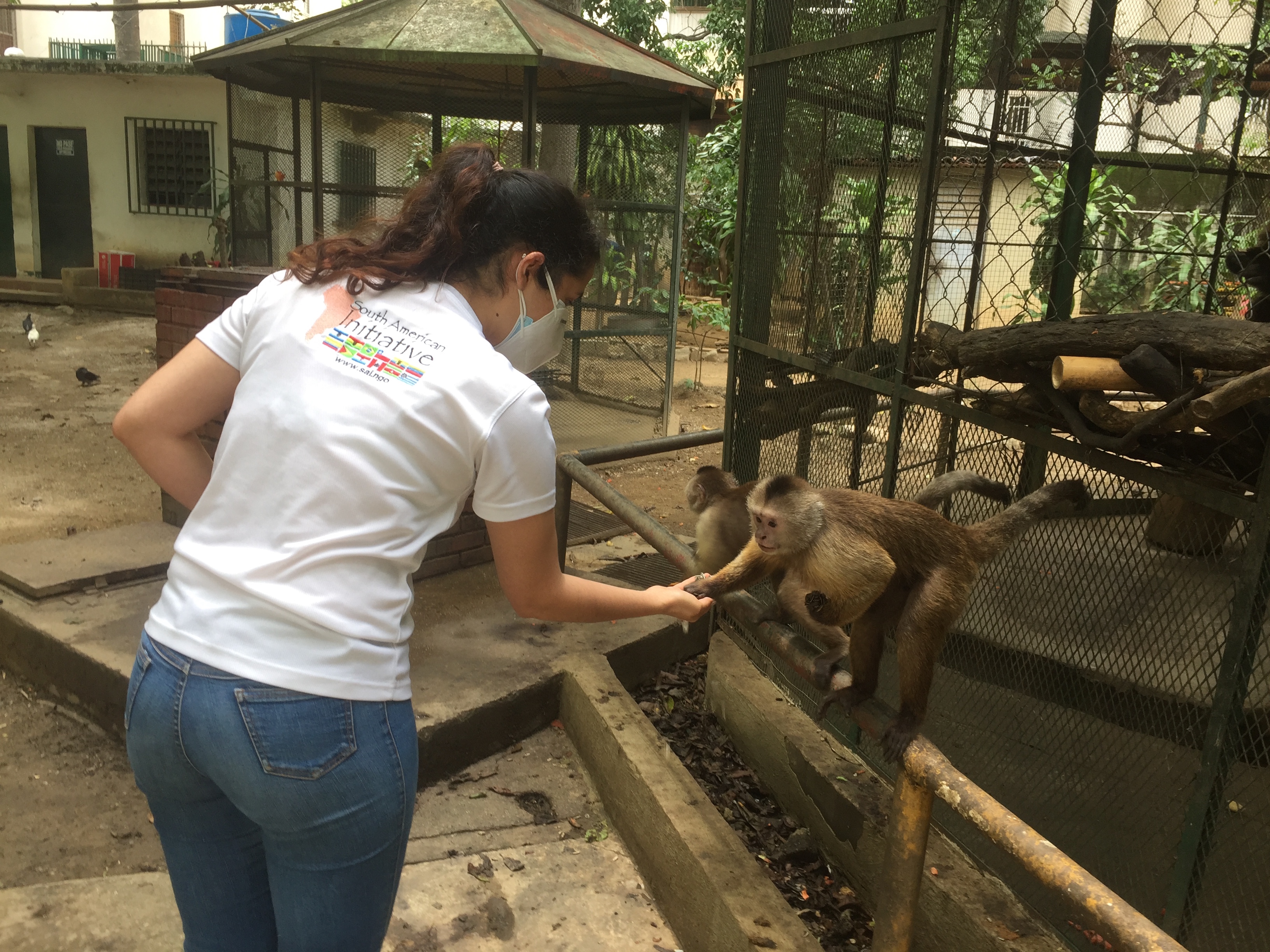 SAI volunteer feeding monkeys at a zoo in Venezuela.