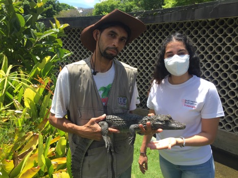 SAI volunteer standing with a local wildlife caretaker holding a rescued caiman in Venezuela.