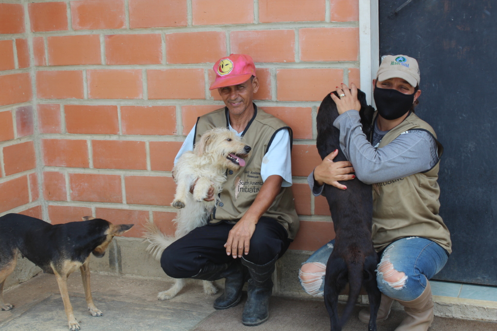 SAI team members holding and caring for rescued dogs in Venezuela.