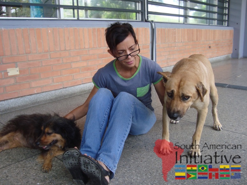 A woman caring for two rescued dogs supported by SAI in Venezuela.