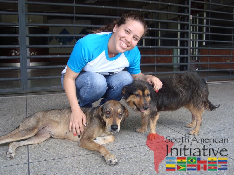 A volunteer kneeling with two rescued dogs at a shelter in Venezuela.