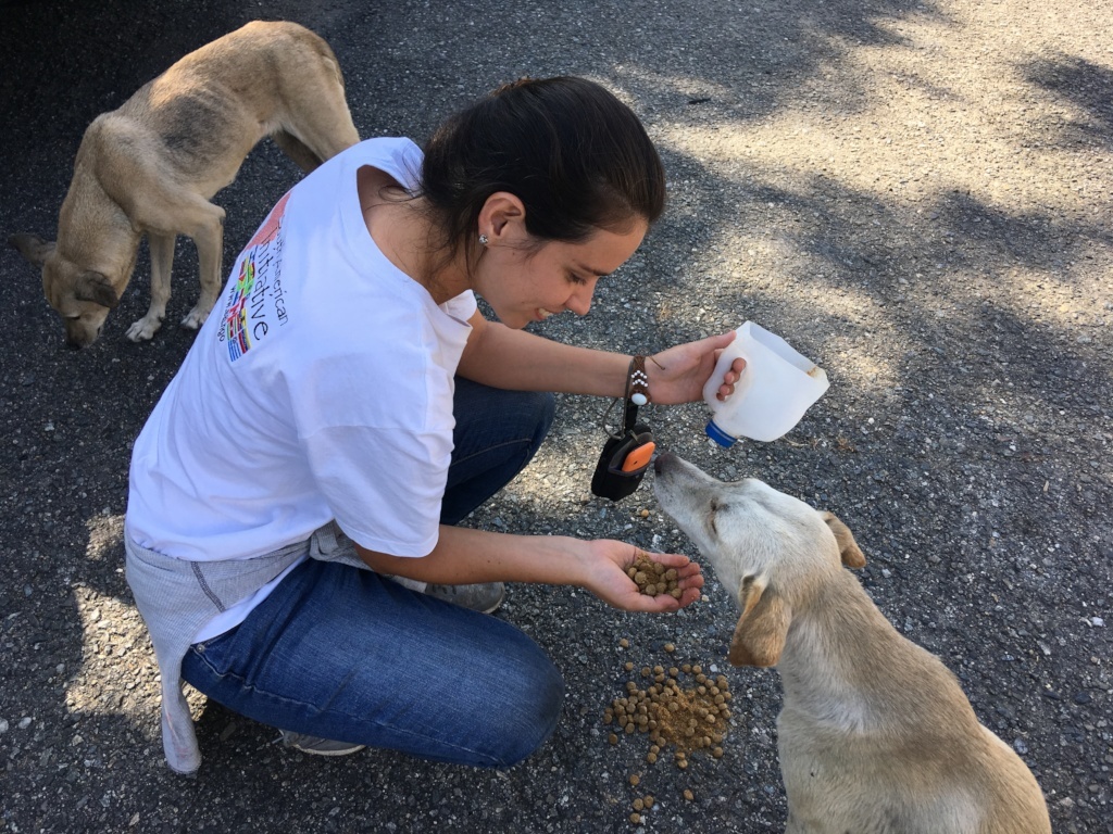 We Have A Big Heart For Animals Especially Those Abandoned & Neglected in Venezuela