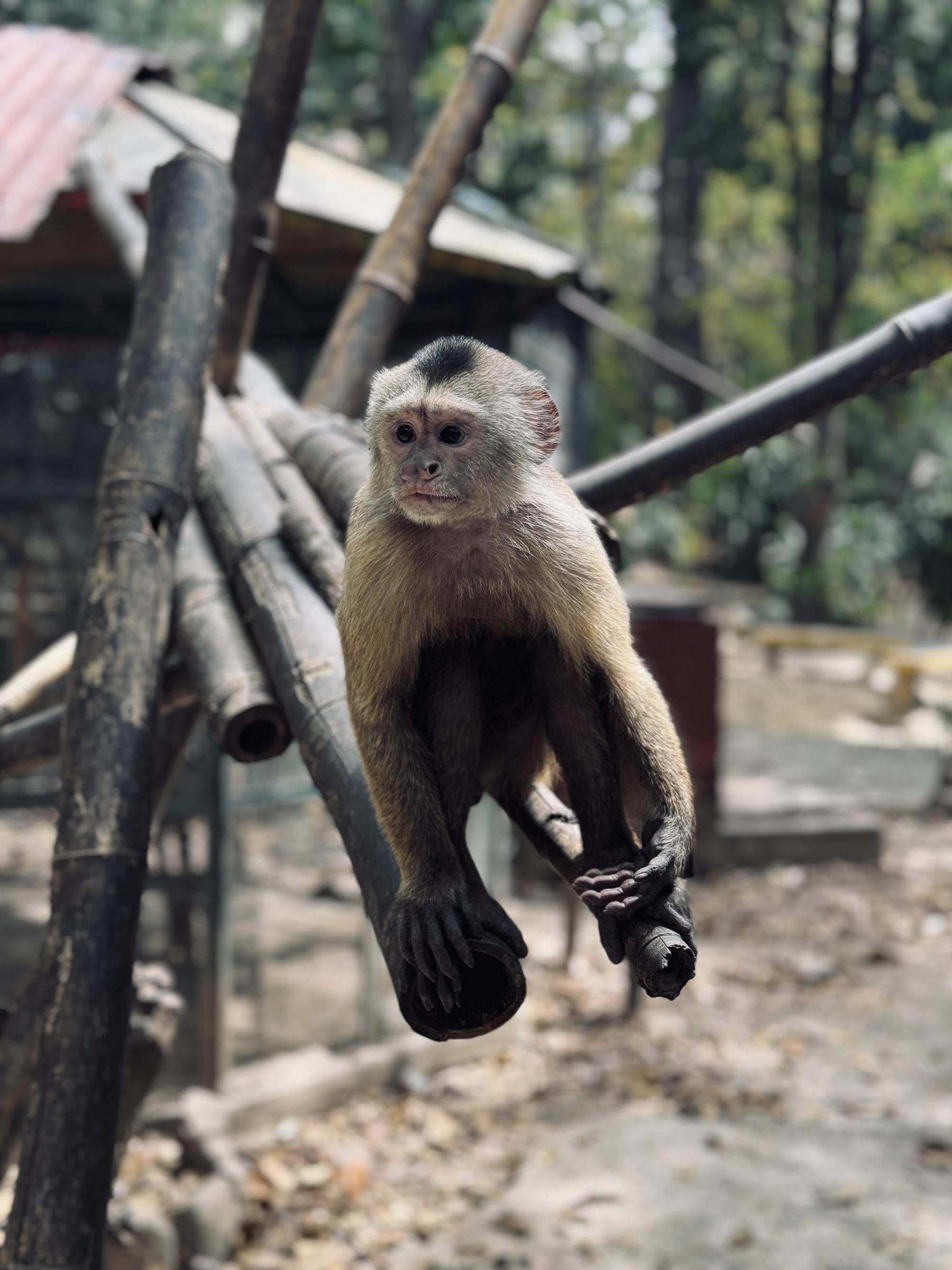 Animals rescue program Q2 2025 saving animal lives