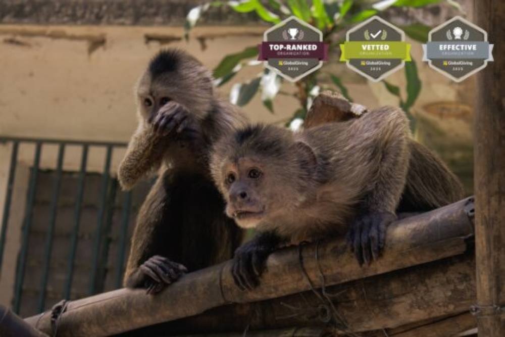 Help Zoos in Venezuela!