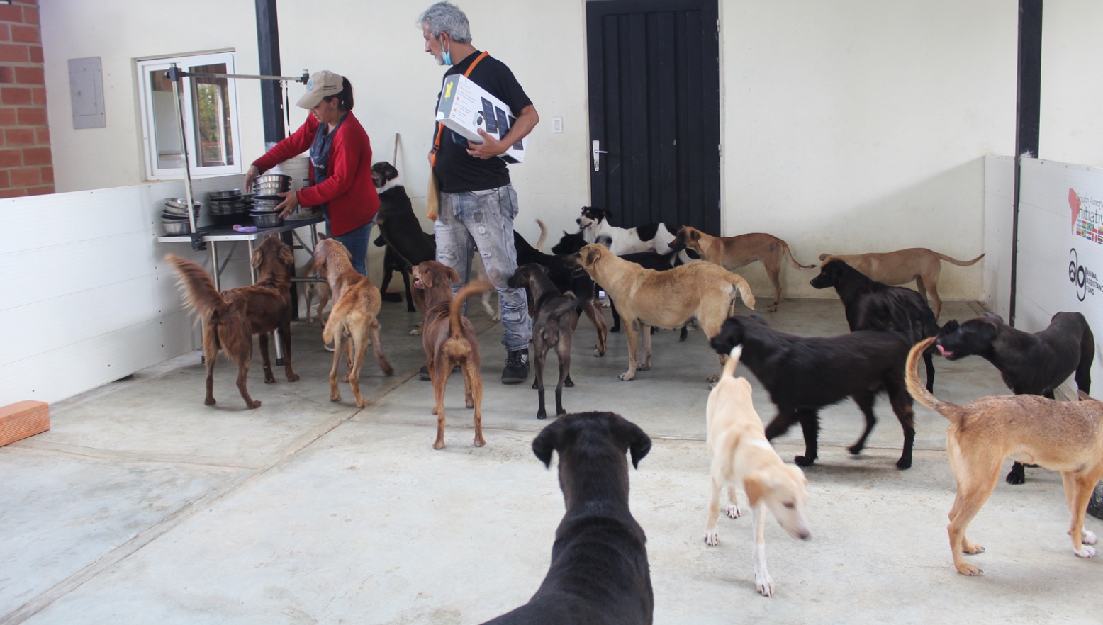 SAI-A&G Q2 Sanctuary 2025 Venezuela Update: Holding the Line for 88 Lives and Fighting for Funds