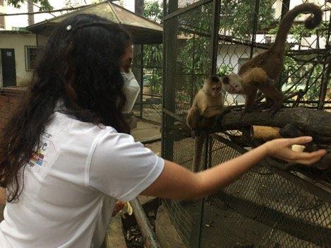 Saving Zoo Animals Lives in Venezuela!