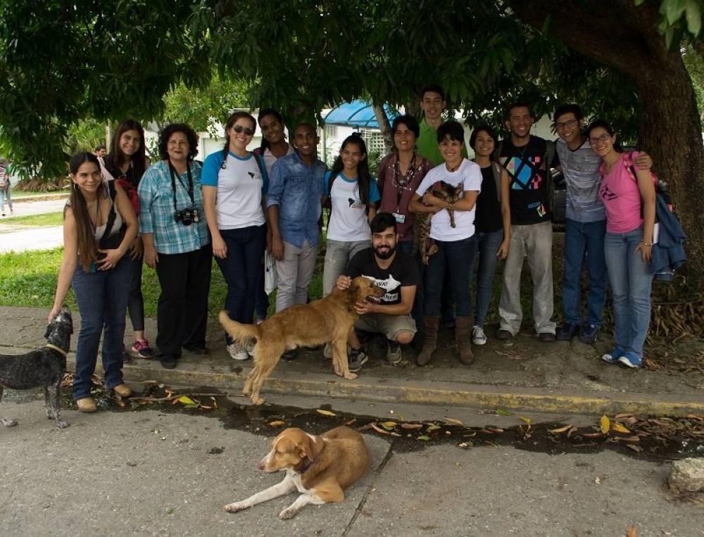 Improving the Lives of Abandoned Pets