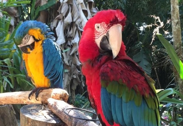 – 1,824 lbs of Food and Medical Care for Over 60 Species | 2023